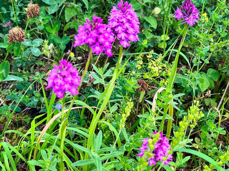 22-06-06 11-27-35 1058